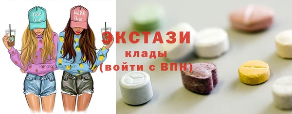 спиды Богородицк