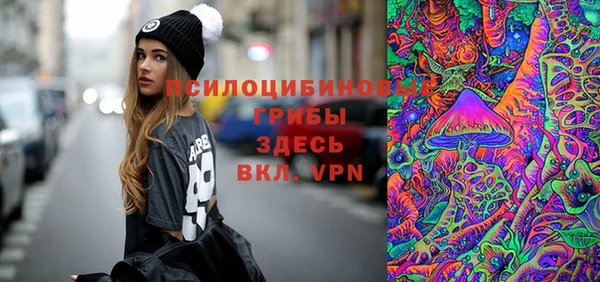 apvp Богданович