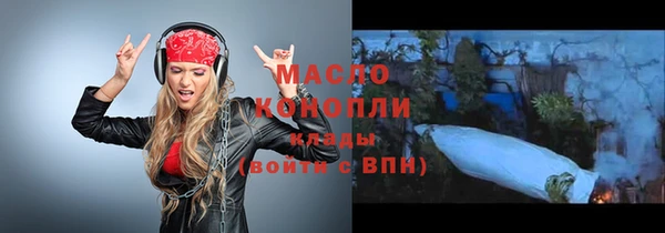 спиды Богородицк