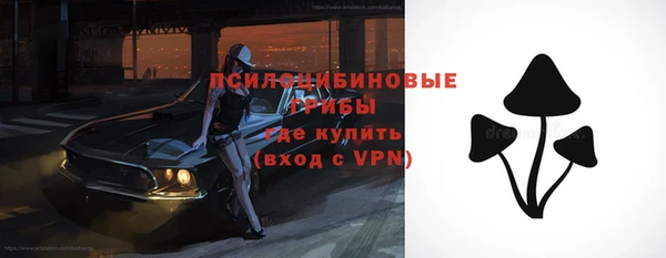 марки nbome Белокуриха