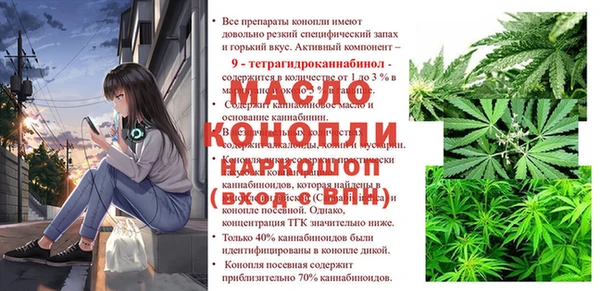 спиды Богородицк