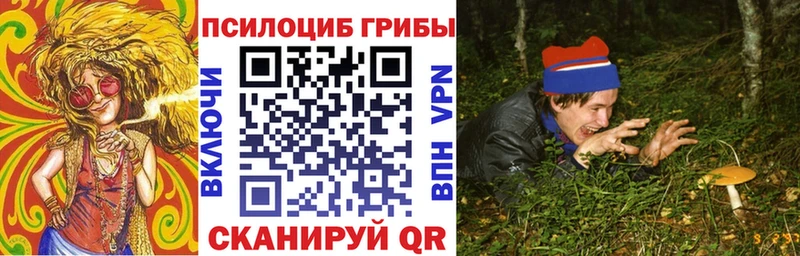 площадка формула Пестово Псилоцибиновые грибы прущие грибы